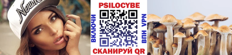 Псилоцибиновые грибы Cubensis  Рудня 